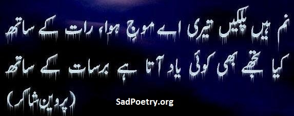 parveen-shakir