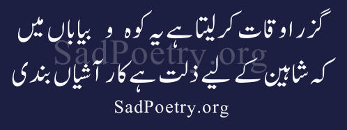 urdu-poetry334