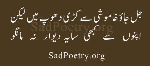 urdu-poetry3482