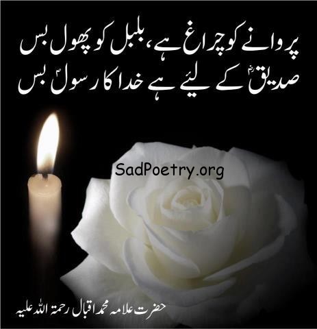 allama-iqbal-islamic-shayari-urdu1