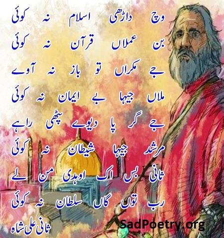 sani-ali-shah-punjabi-shayari-islamic