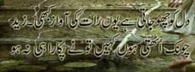 urdu.poetry.images.