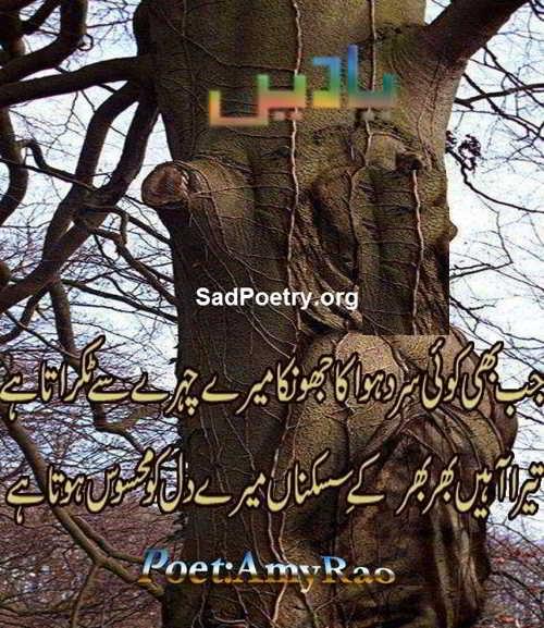 urdu dil poetry