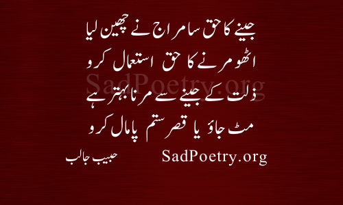 habib jalib haq istemal karo