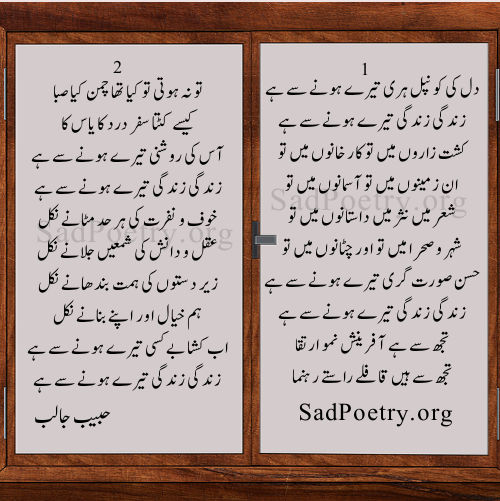 habib-jalib-ghazal poetry