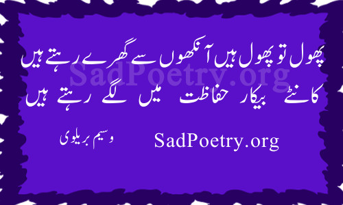 wasim-barelvi (8)