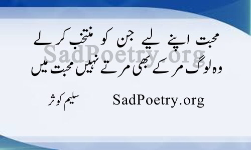 saleem kausar poetry