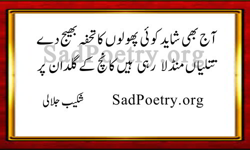 shakeb jalali poetry