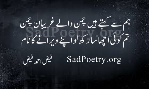 chaman wale faiz