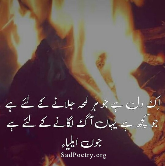 jaun elia