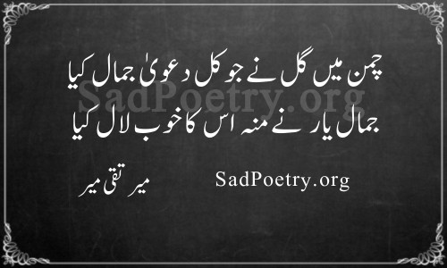 mir taqi mir shayari