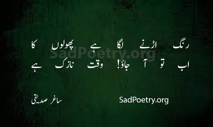 saghir siddiqui poetry - 4